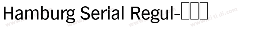 Hamburg Serial Regul字体转换